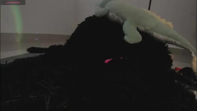 Image 2 of midori__san Stream on Chaturbate on 1 month ago