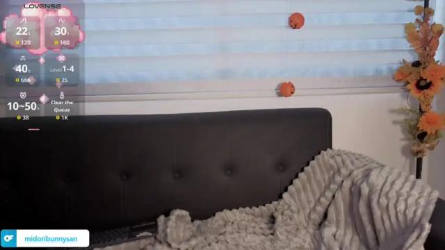 Image 3 of midori__san Stream on Chaturbate on 1 month ago