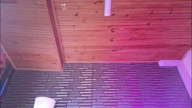 Image 4 of miia_zarate Stream on Chaturbate on 11 days ago