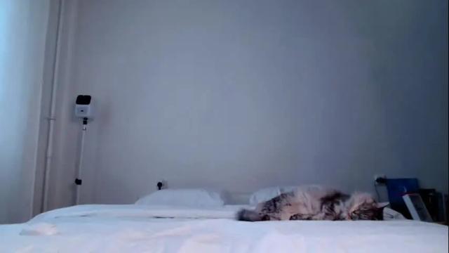 Image 11 of milky__way_ Stream on Chaturbate on 1 month ago