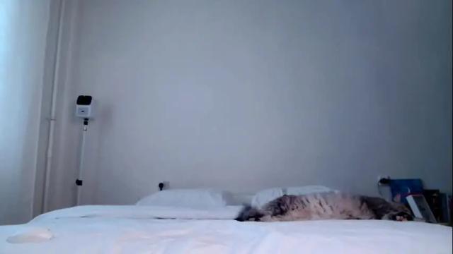 Image 6 of milky__way_ Stream on Chaturbate on 1 month ago