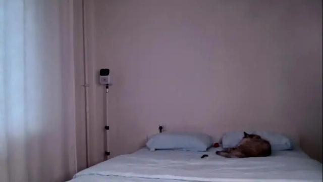 Image 11 of milky__way_ Stream on Chaturbate on 1 month ago