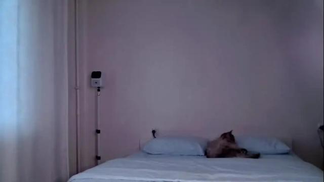 Thumbnail 2, milky__way_'s Stream at Chaturbate, 1 month ago