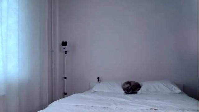 Thumbnail 2, milky__way_'s Stream at Chaturbate, 16 days ago