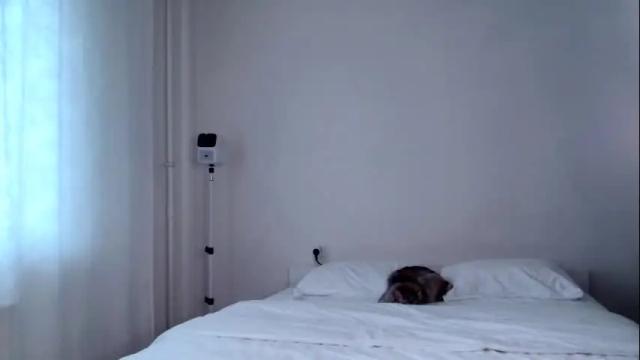 Image 8 of milky__way_ Stream on Chaturbate on 19 days ago