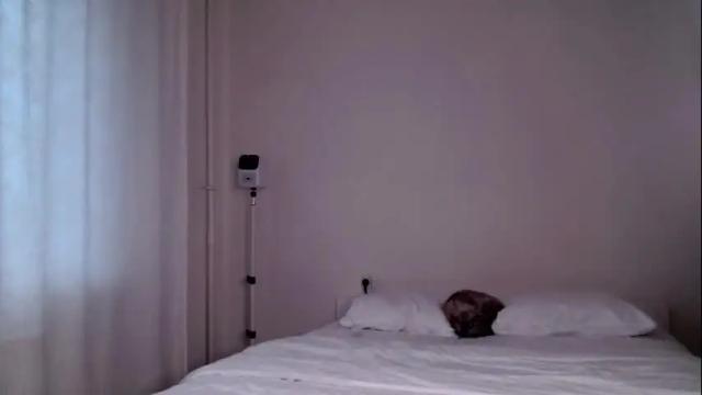 Image 7 of milky__way_ Stream on Chaturbate on 17 days ago