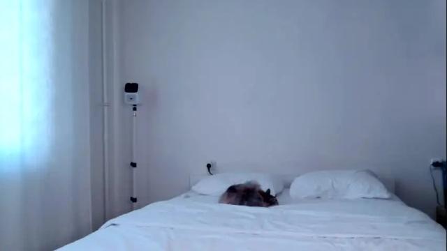 Image 10 of milky__way_ Stream on Chaturbate on 16 days ago