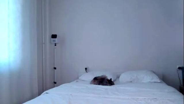 Image 11 of milky__way_ Stream on Chaturbate on 16 days ago