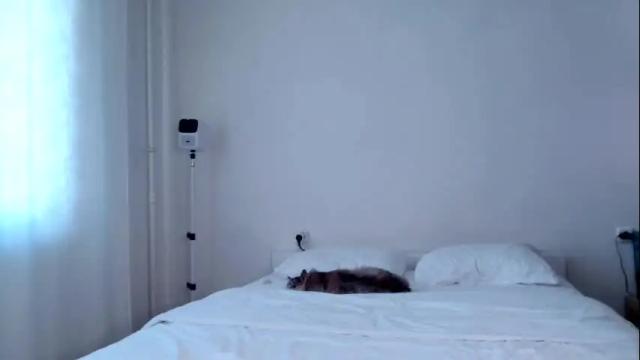 Image 2 of milky__way_ Stream on Chaturbate on 16 days ago