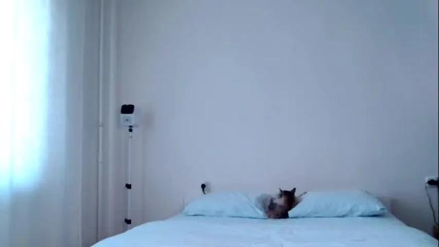 Image 11 of milky__way_ Stream on Chaturbate on 11 days ago