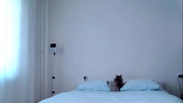 Image 12 of milky__way_ Stream on Chaturbate on 11 days ago