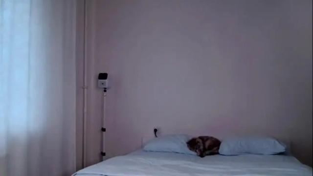 Image 4 of milky__way_ Stream on Chaturbate on 10 days ago