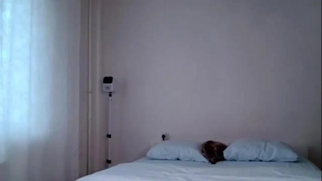 Image 7 of milky__way_ Stream on Chaturbate on 9 days ago