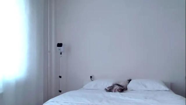Thumbnail 3, milky__way_'s Stream at Chaturbate, 2 days ago