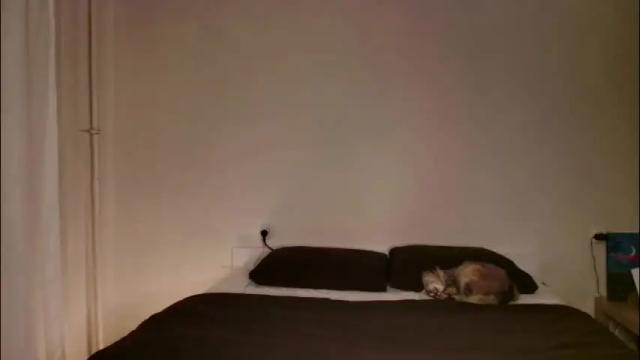 Image 11 of milky__way_ Stream on Chaturbate on 1 month ago