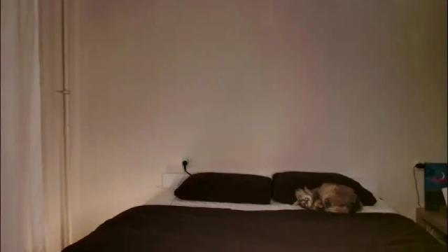 Image 12 of milky__way_ Stream on Chaturbate on 1 month ago