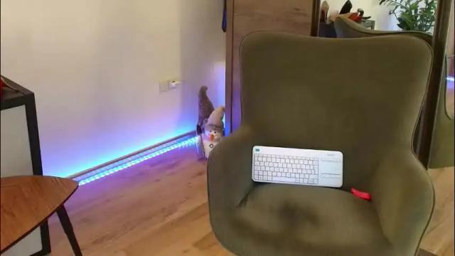 Thumbnail 1, mirela_silver's Stream at Chaturbate, 10 days ago