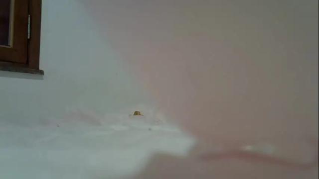 Image 10 of mirelami Stream on Chaturbate on 29 days ago