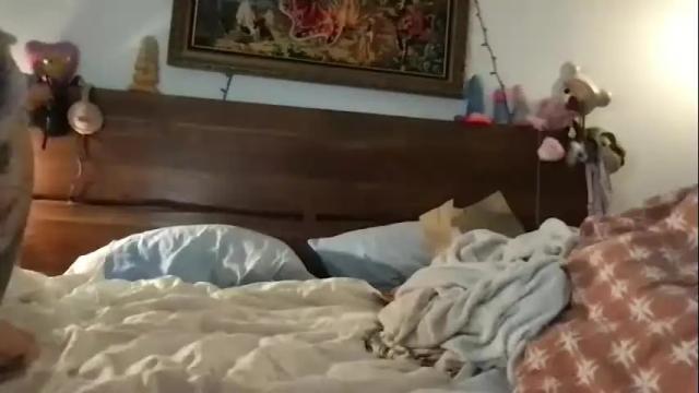 Image 7 of mis0h0rnybabii Stream on Chaturbate on 7 days ago