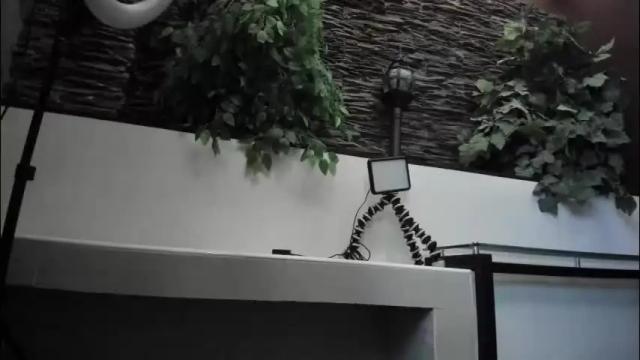 Image 12 of miss_danika Stream on Chaturbate on 1 month ago