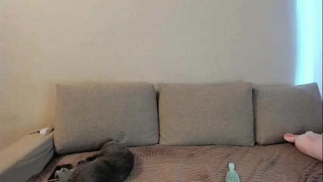 Image 12 of miss_kitty13 Stream on Chaturbate on 3 months ago