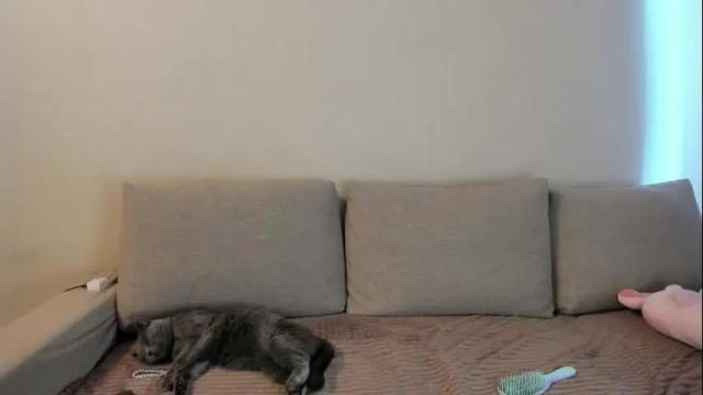 Image 6 of miss_kitty13 Stream on Chaturbate on 3 months ago