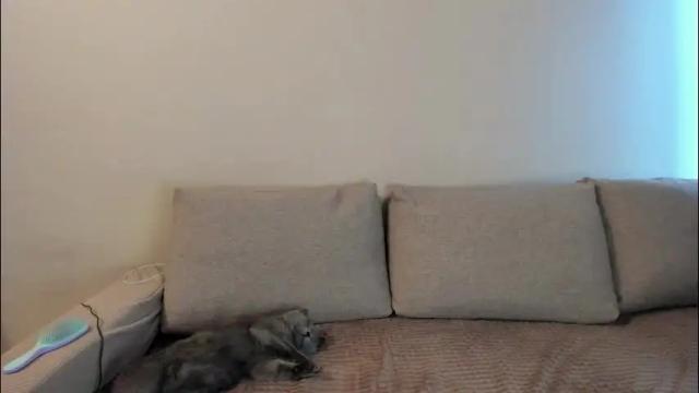 Image 10 of miss_kitty13 Stream on Chaturbate on 1 month ago