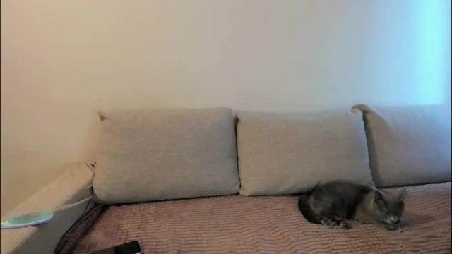 Image 3 of miss_kitty13 Stream on Chaturbate on 1 month ago