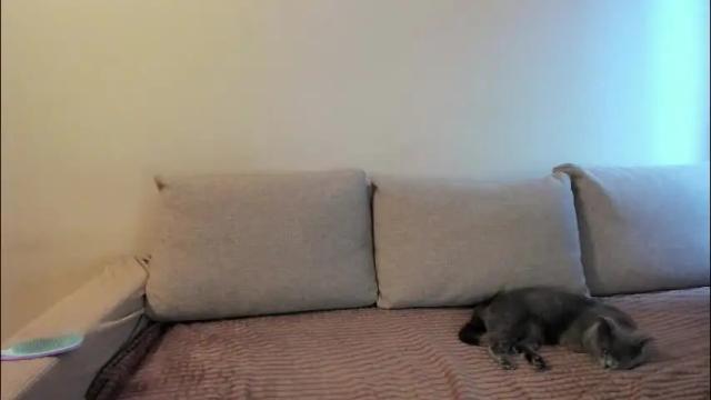 Image 6 of miss_kitty13 Stream on Chaturbate on 1 month ago