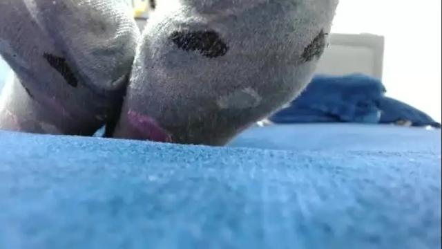 Thumbnail 3, miss_samy_13's Stream at Chaturbate, 1 month ago