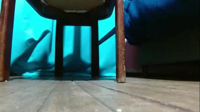 Image 10 of miss_samy_13 Stream on Chaturbate on 23 days ago