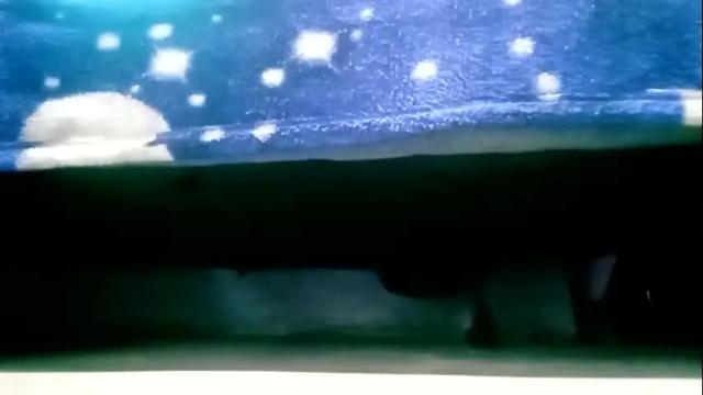 Image 12 of miss_samy_13 Stream on Chaturbate on 1 month ago