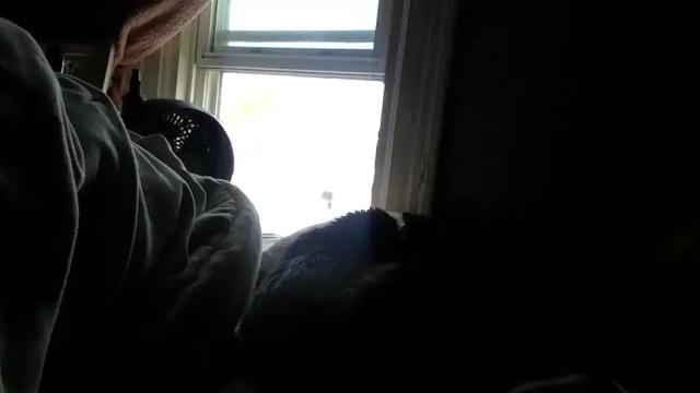 Image 6 of missamea Stream on Chaturbate on 25 days ago