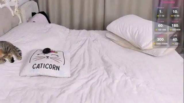Image 10 of missblondecutie Stream on Chaturbate on 12 days ago