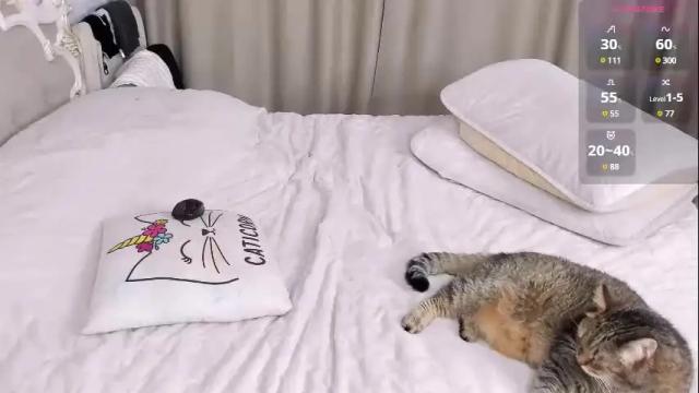 Image 12 of missblondecutie Stream on Chaturbate on 8 days ago