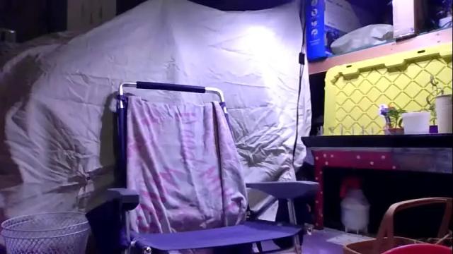 Image 6 of misseeva Stream on Chaturbate on 13 days ago