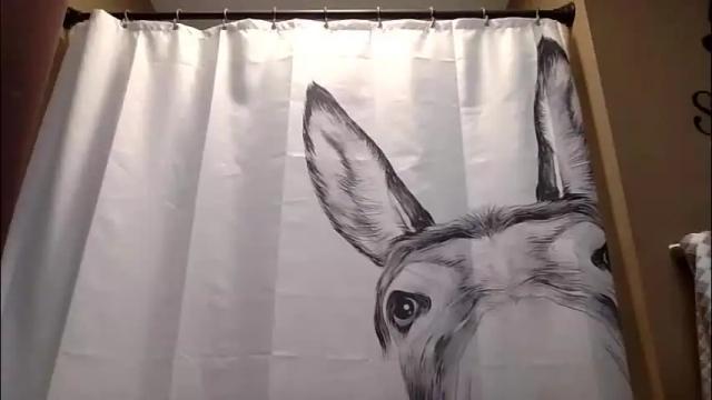 Image 6 of misseeva Stream on Chaturbate on 1 month ago