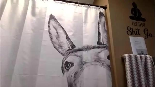 Image 8 of misseeva Stream on Chaturbate on 1 month ago