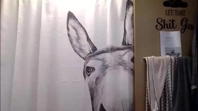 Image 6 of misseeva Stream on Chaturbate on 1 month ago