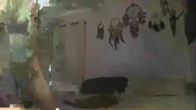 Image 8 of misssummersting Stream on Chaturbate on 6 days ago