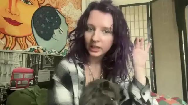 Image 3 of misterfaerie Stream on Chaturbate on 14 days ago