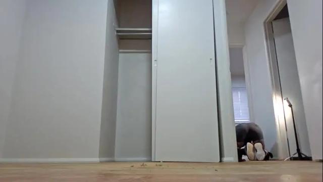 Thumbnail 2, mistitwilight's Stream at Chaturbate, 13 days ago