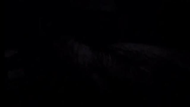 Image 10 of mistress_luan Stream on Chaturbate on 18 months ago