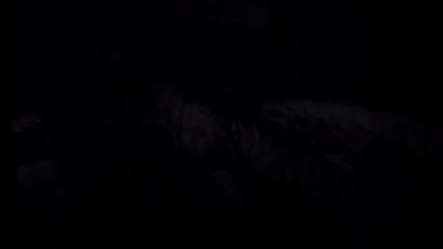 Image 11 of mistress_luan Stream on Chaturbate on 18 months ago