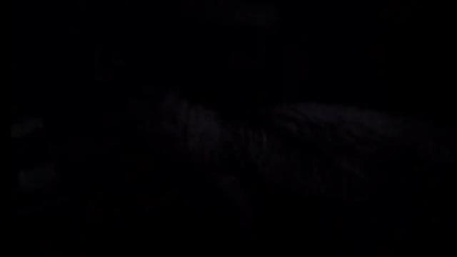 Image 12 of mistress_luan Stream on Chaturbate on 18 months ago
