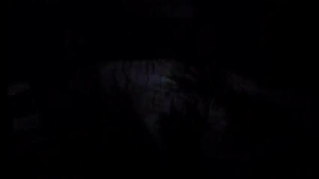 Image 2 of mistress_luan Stream on Chaturbate on 18 months ago
