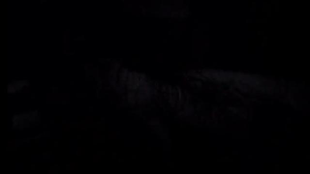 Image 4 of mistress_luan Stream on Chaturbate on 18 months ago