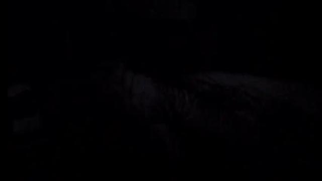 Thumbnail 2, mistress_luan's Stream at Chaturbate, 18 months ago