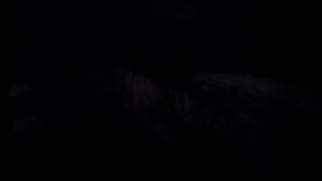 Image 7 of mistress_luan Stream on Chaturbate on 18 months ago