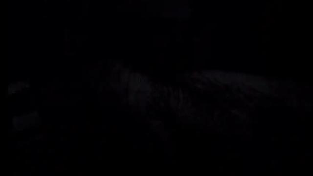 Image 8 of mistress_luan Stream on Chaturbate on 18 months ago